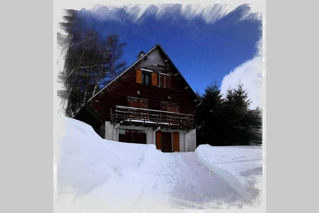 Authentique Chalet Vue Sur Le Lac Et Les Pistes 베세-에-생타나스타시 외부 사진